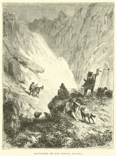 Pastores de la Sierra Nevada de Edouard Riou